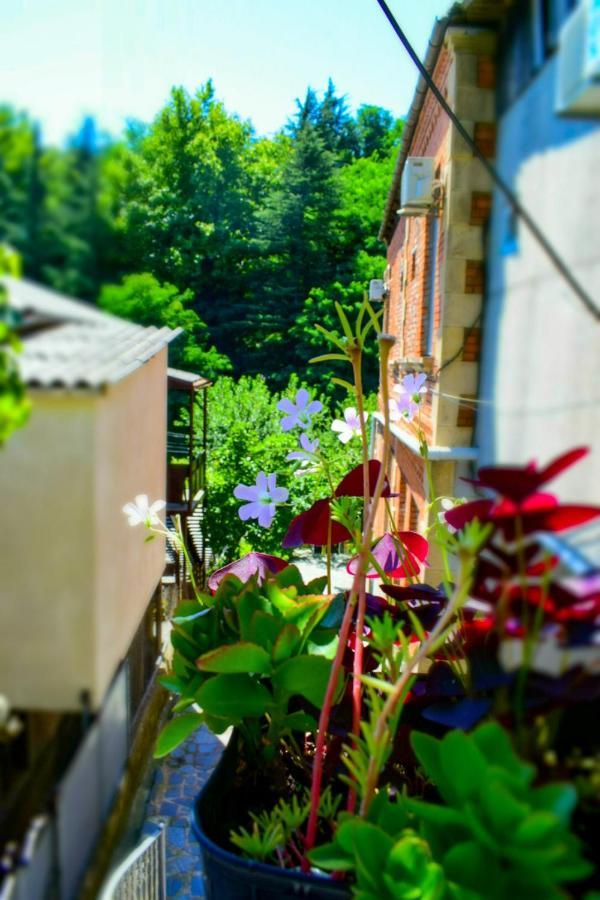 A.G'S Guest House Кутаїсі Екстер'єр фото